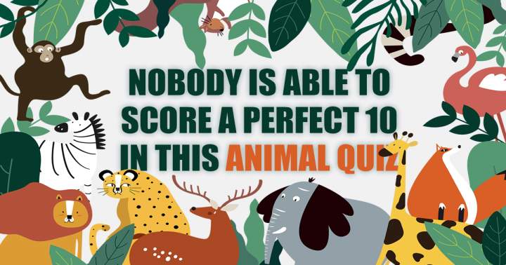 Banner for Animal Quiz