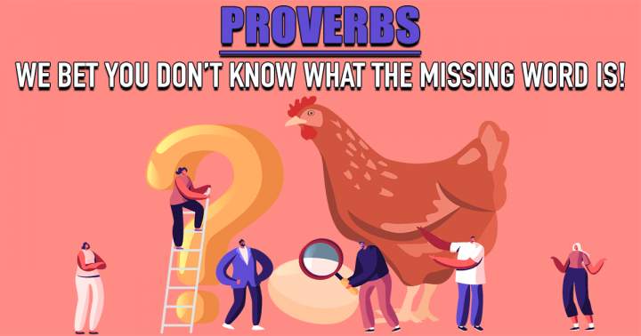 Banner for 'Quiz on Proverbs'