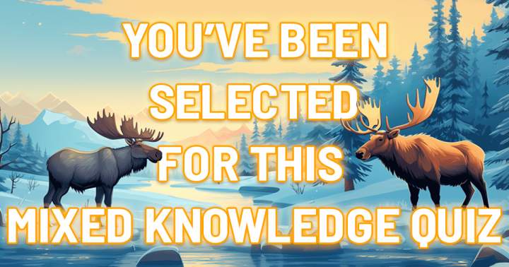 Banner for Trivia of Assorted Knowledge