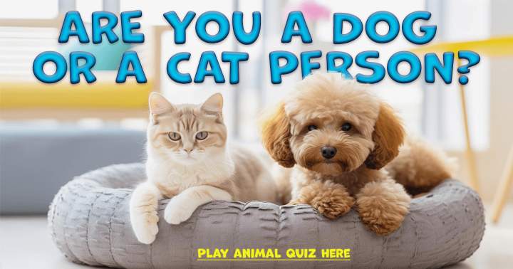 Banner for Quiz about animals.