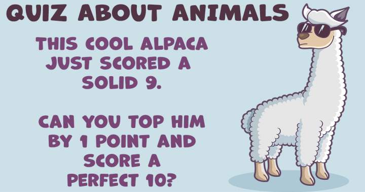 Banner for Animal Quiz