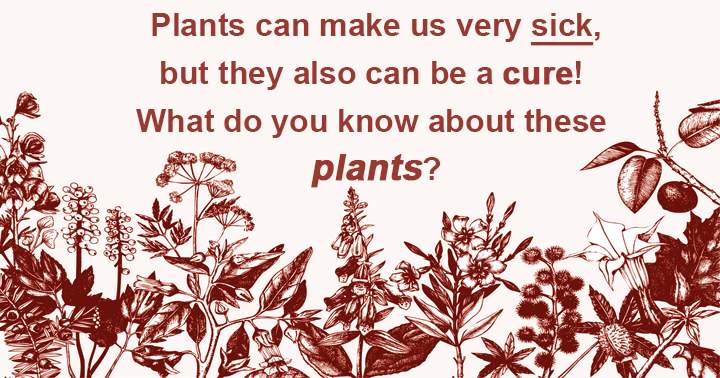 Banner for Plants have the power to both harm and heal us! Are you familiar with these types of plants?