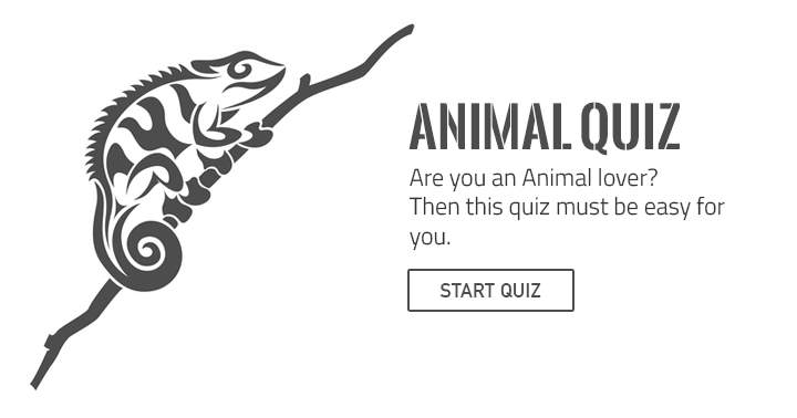 Banner for Do you truly adore animals? Try your hand at this challenging yet enjoyable quiz.